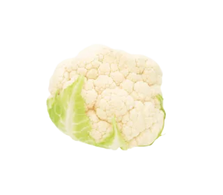 product-02